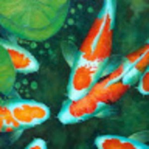 Meet your Posher, Sierra